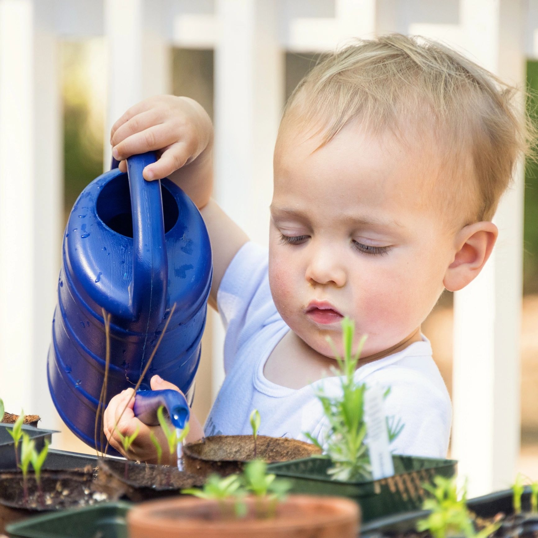 Knollwood Children's STEAM Garden/Flower Kit
